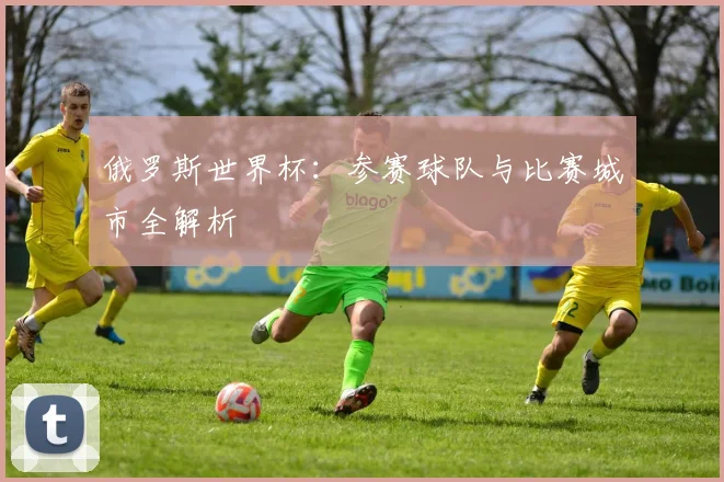 俄罗斯世界杯：参赛球队与比赛城市全解析