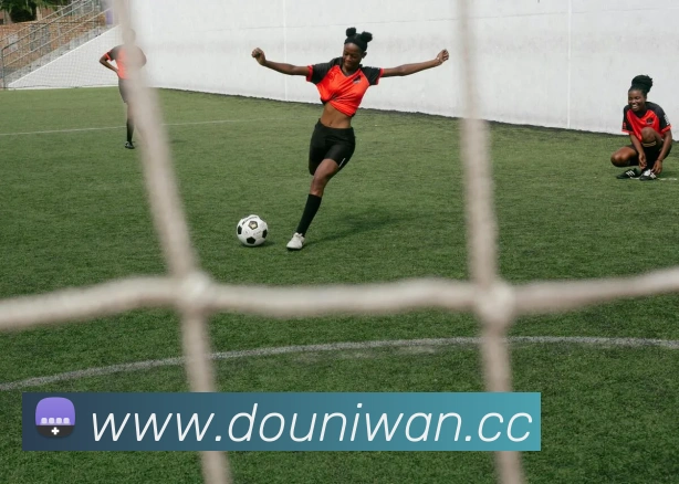 九游j9官网入口登录发展历程